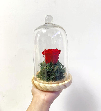 Infinity Rose Glass Dome