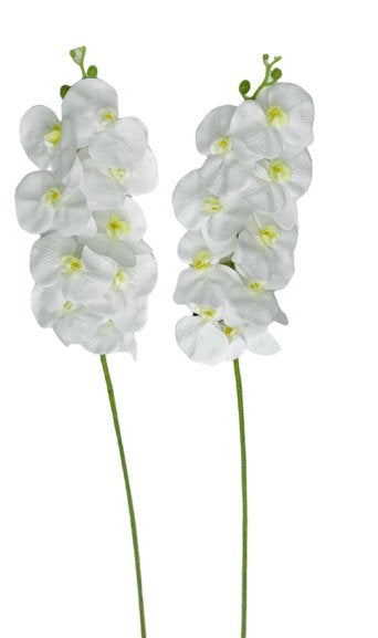 Artf Orchid Long 1 Stem x 6pcs