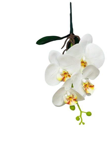 Artf Orchid White Real Touch x 6pcs
